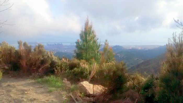 Percorso in bike dalla Vetta di Pegli