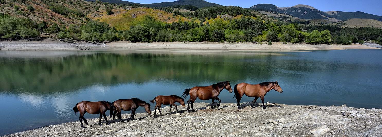 Parco dell’Aveto – i Sentieri