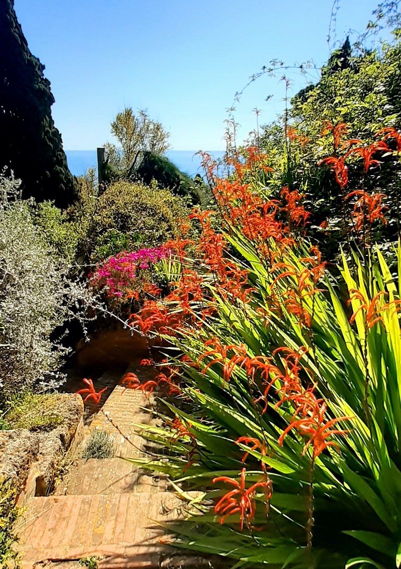I Giardinetti dei Giardini Hanbury - foto Daniela Guglielmi