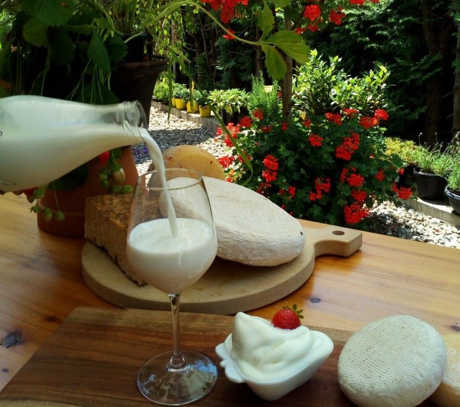 Garden Il Bucaneve: una sosta golosa in Val d’Aveto!