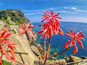 Tigullio walk between Mountains, Sea and Villages 5 days 4 nights