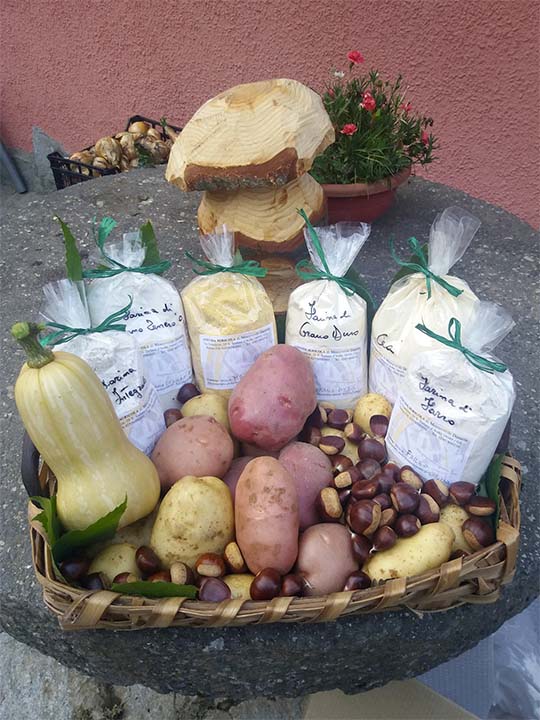 Get flour at the Gramizza Mill! Visit to the Gramizza Mill, with souvenirs