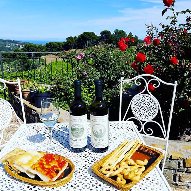 Degustazione 5 sensi nel cuore della Liguria di Ponente