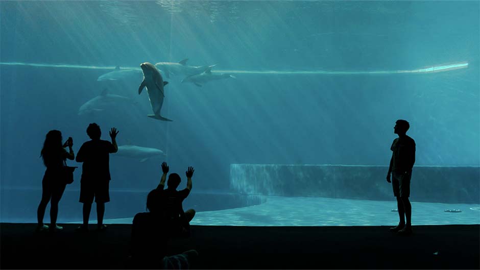 Genova dall’alto e l’Acquario
