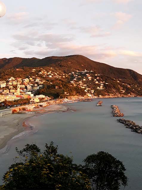 Moneglia and the liquid gold of the Mediterranean