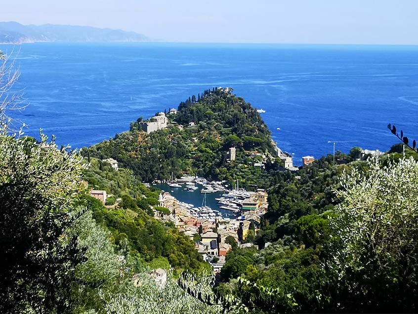 Parco di Portofino: il paradiso verde che si affaccia sul mare