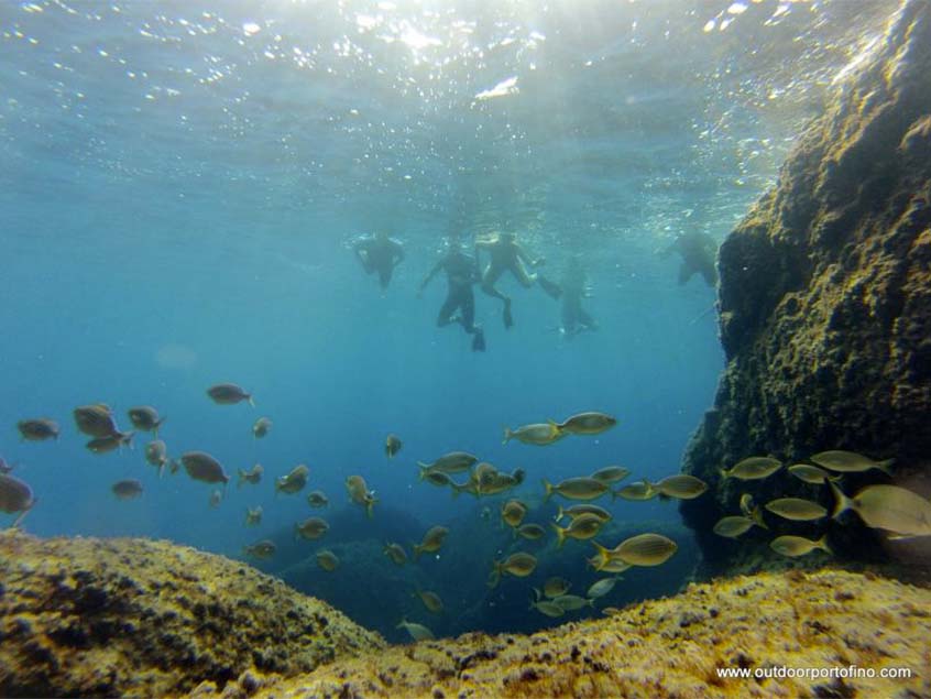 Snorkeling tour a Paraggi