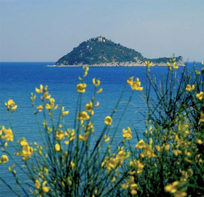 Tour Isola Gallinara