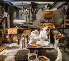 A plunge into the past…