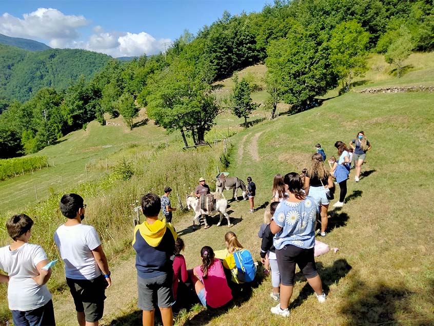 Una giornata in Val d’Aveto con gli asinelli