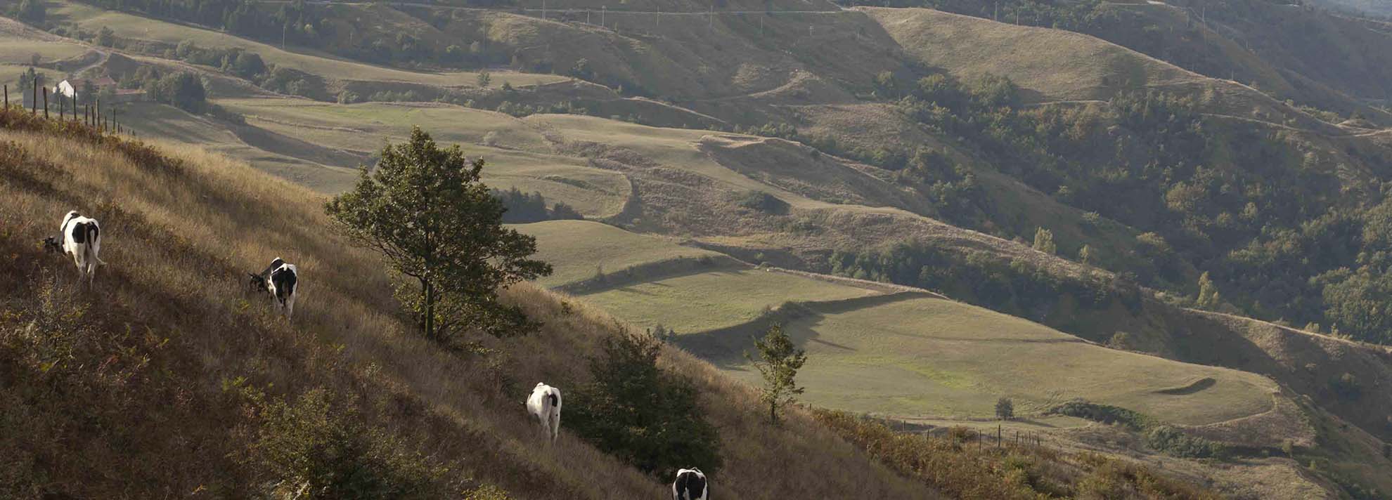 Da Varese Ligure al Passo di Cento Croci lungo la valle del biologico