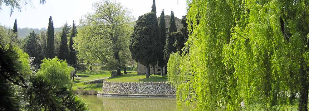 Tra i profumi di lavanda e ulivi secolari