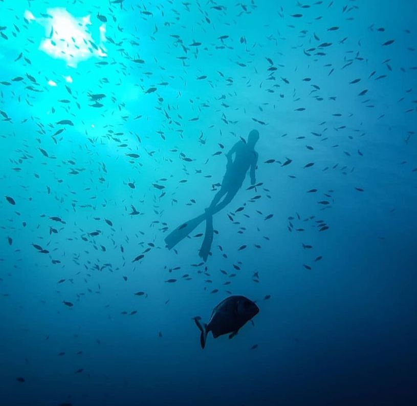 Escursione in barca all’Isola di Bergeggi
