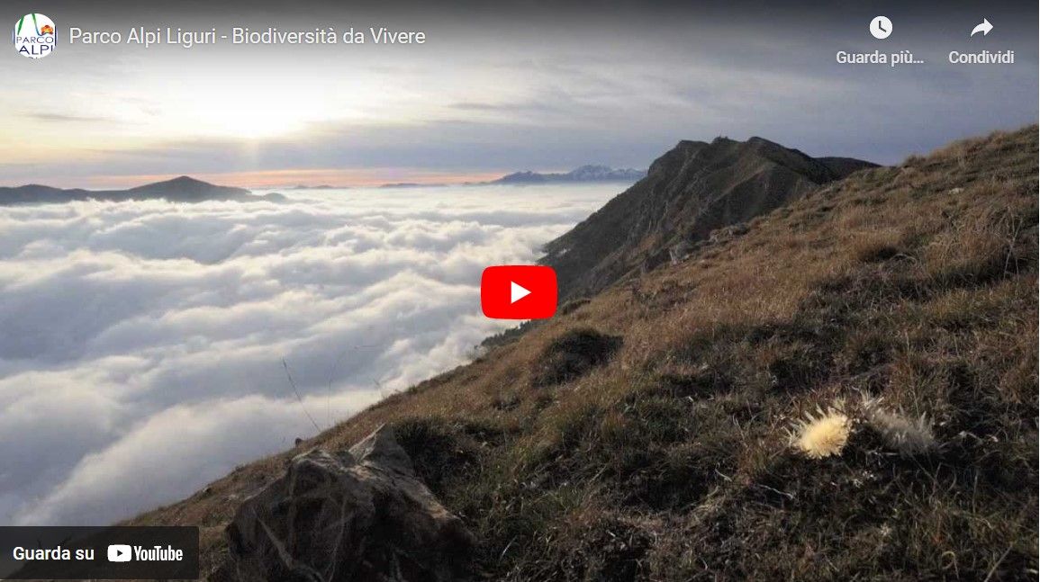 Experience Outdoor Liguria