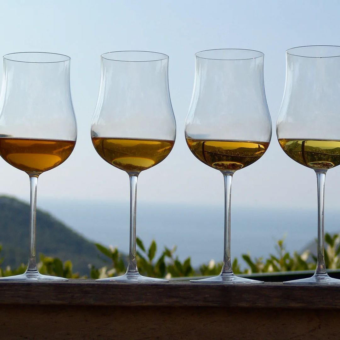 Cinque Terre: usa i cinque sensi per una degustazione unica