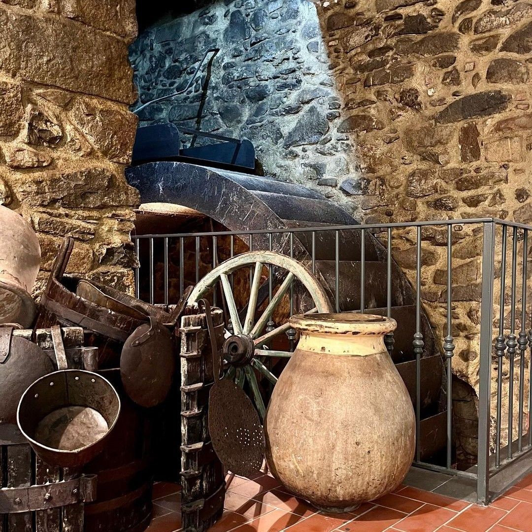 Nel frantoio alla scoperta dell’Oliva Taggiasca