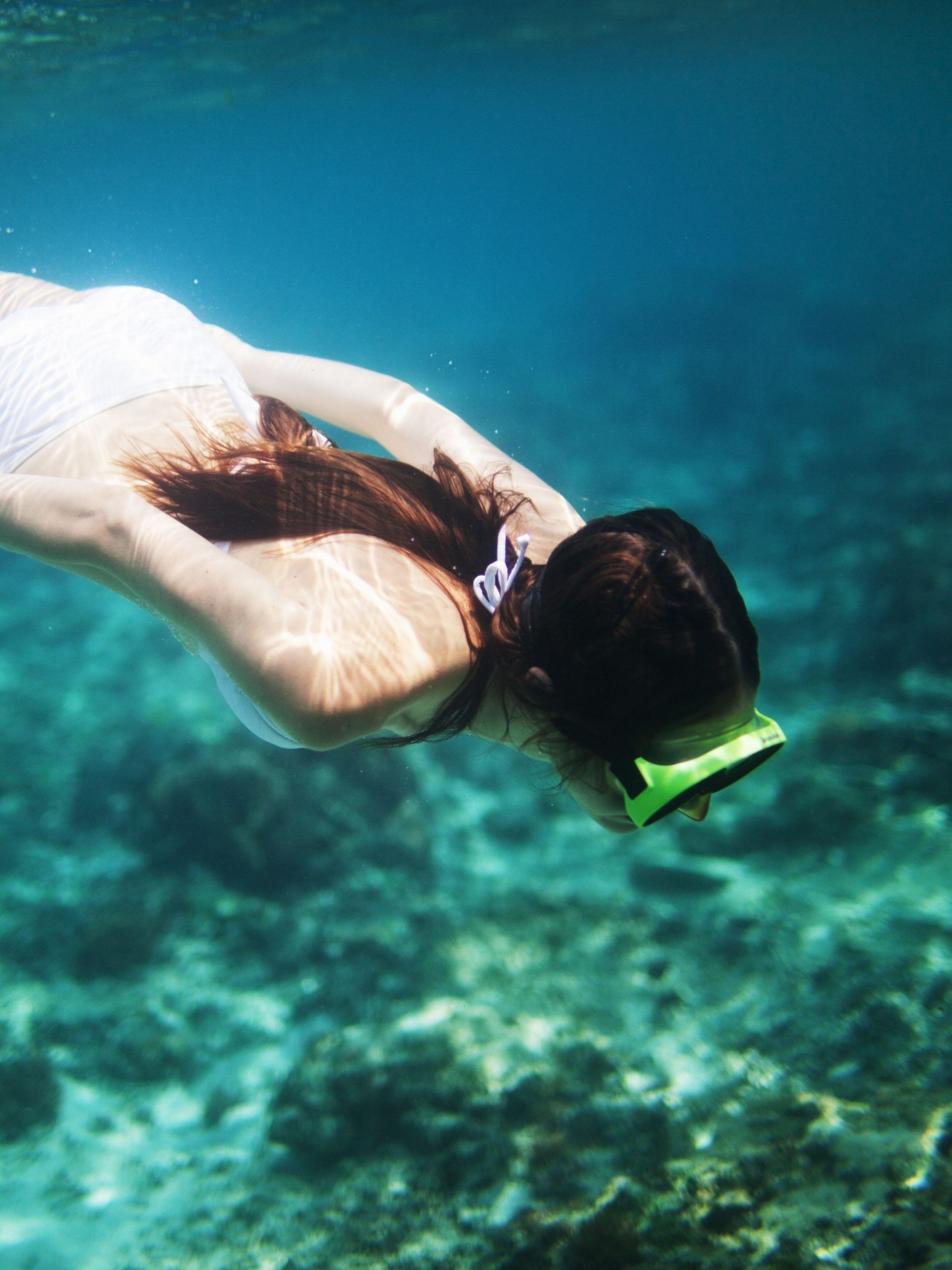 Snorkeling in the protected Marine Area of Portofino