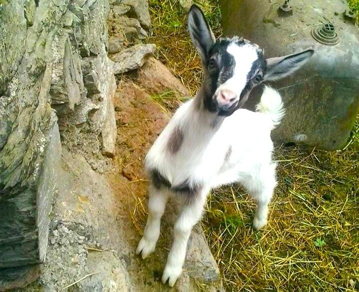 Ca’ de Na: immergiti nella natura delle Alpi Liguri