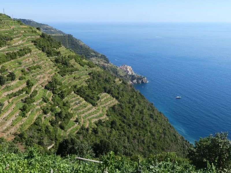 Sentieri e panorami mozzafiato tra i Borghi di Lerici, Montemarcello e Tellaro