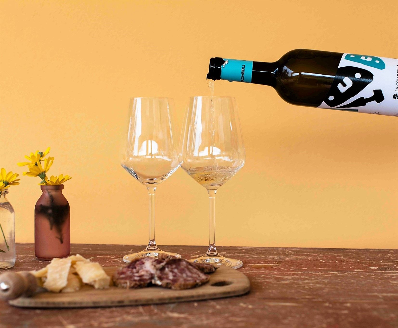 Degustazione nei Colli di Luni