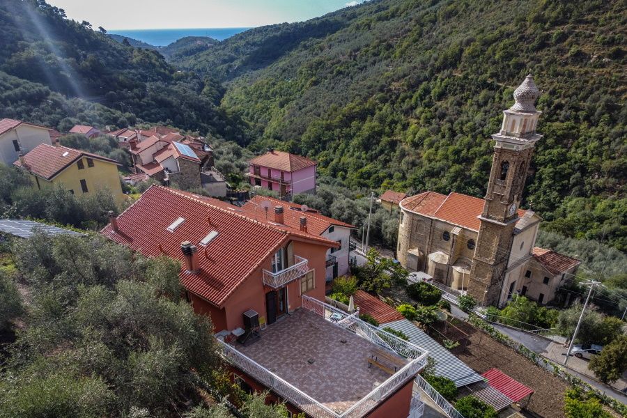 Tour of the Taggiasca olive groves and tasting of extra virgin olive oil and olives