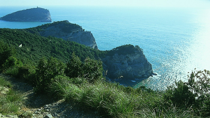 Porto Venere, Palmaria, Tino