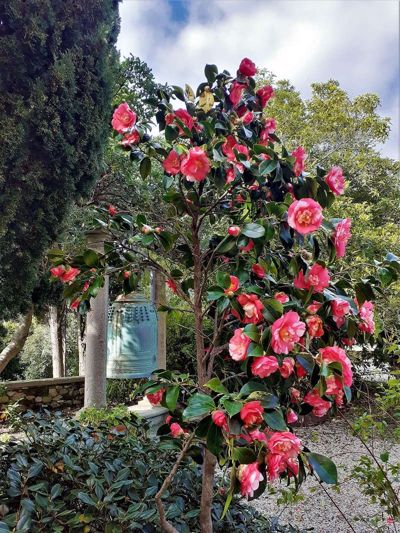 Campana giapponese, Archivio GBH_foto Daniela Guglielmi