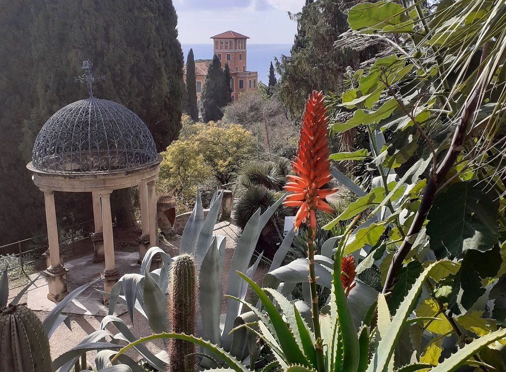 Ai Giardini Hanbury, le meravigliose fioriture Ai Giardini Hanbury, le meravigliose fioriture