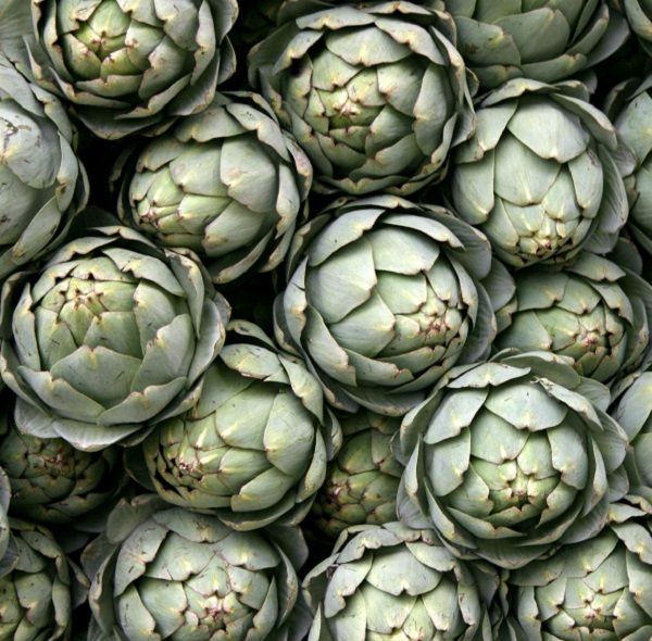 Carciofi di Perinaldo