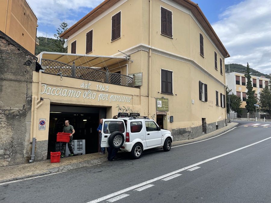 Frantoio-Nuvolone-Taggia