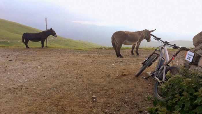 Tour e-bike tra la galleria di Garezzo e il Passo della Mezzaluna