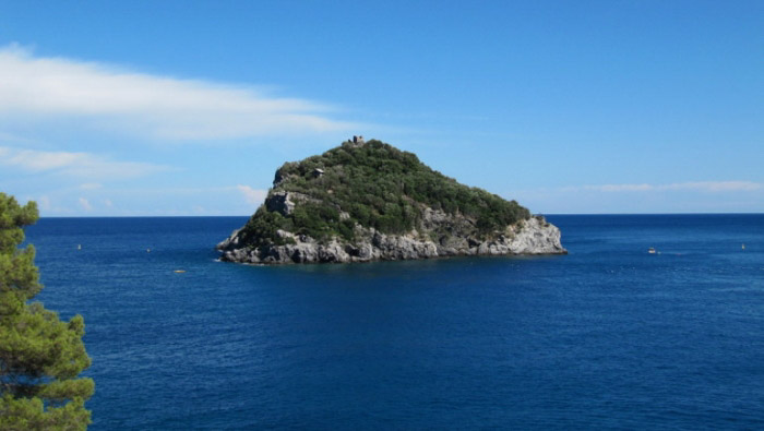 Tra il mirto e la ginestra nella sughereta di Bergeggi