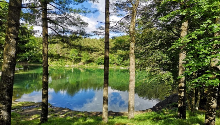 luglio-nel-parco-dell-aveto La Mia Liguria