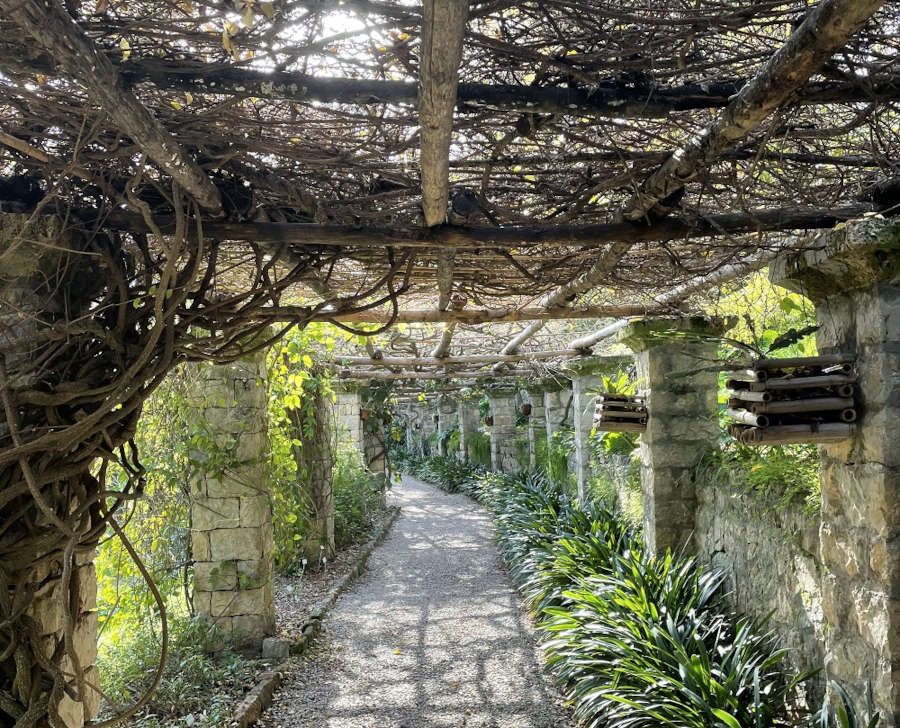 Giardini Hanbury, la topia