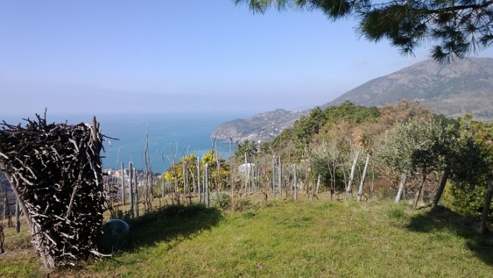 Percorso “Torre dell’orologio” da Levanto a Bonassola