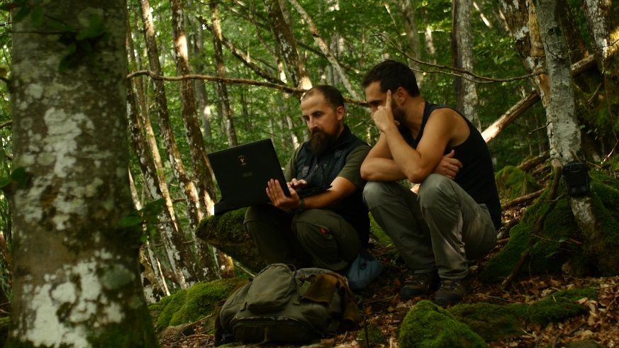 film Felis, gatto servaego