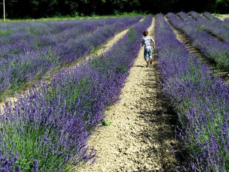Parco di Piana Crixia