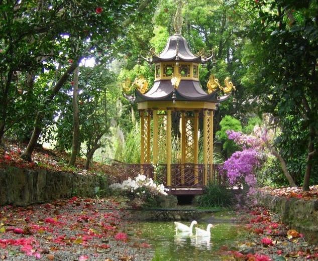 Il tempo delle camelie a Villa Durazzo Pallavicini