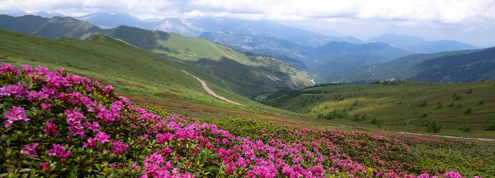 I Parchi. Il mare verde della Liguria