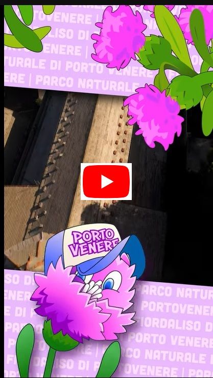 fiordaliso-di-porto-venere_youtube