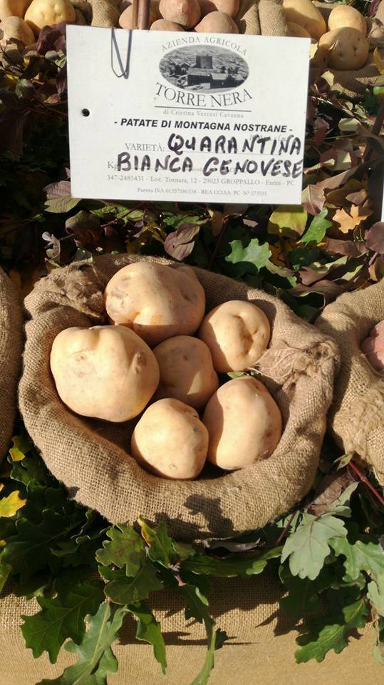 patata quarantina