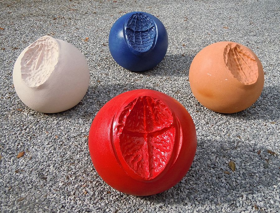 E Conchis Omnia - Palazzo Tagliaferro di Andora